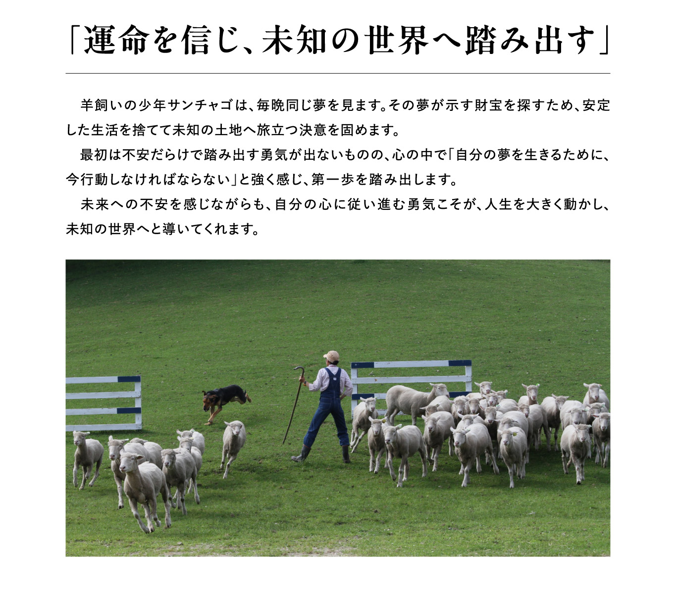 「運命を信じ、未知の世界へ踏み出す」